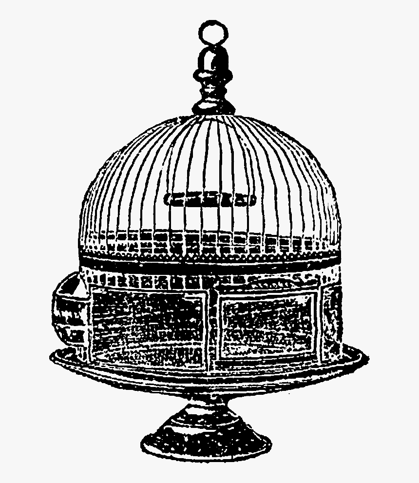 Any Of These Bird Cage Images Would Make For Wonderful - Dome, HD Png Download