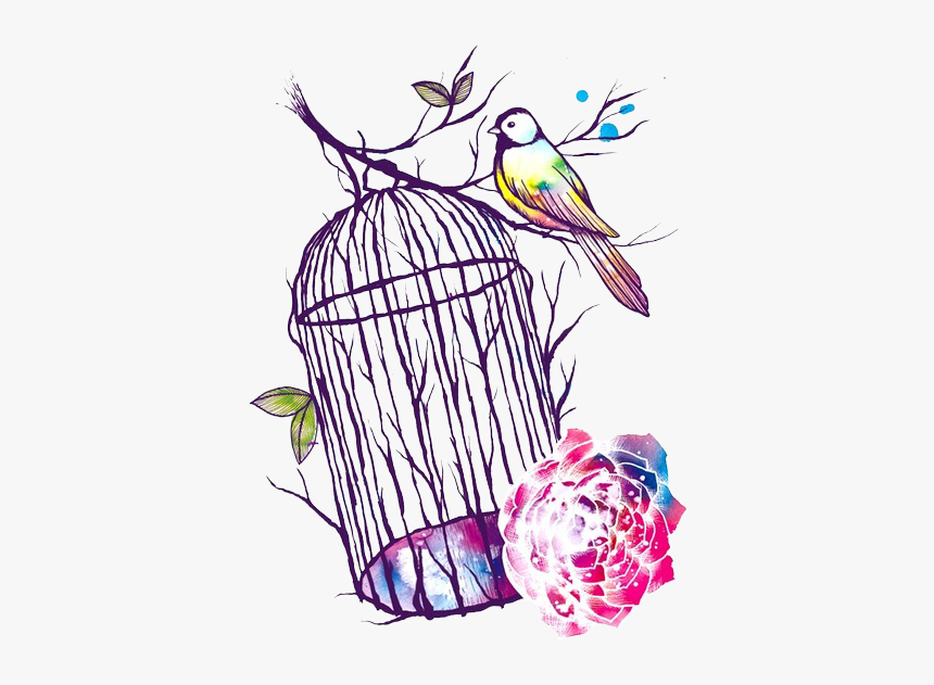 Bird, Colorful, And Flowers Image - Bird Cage Drawing, HD Png Download