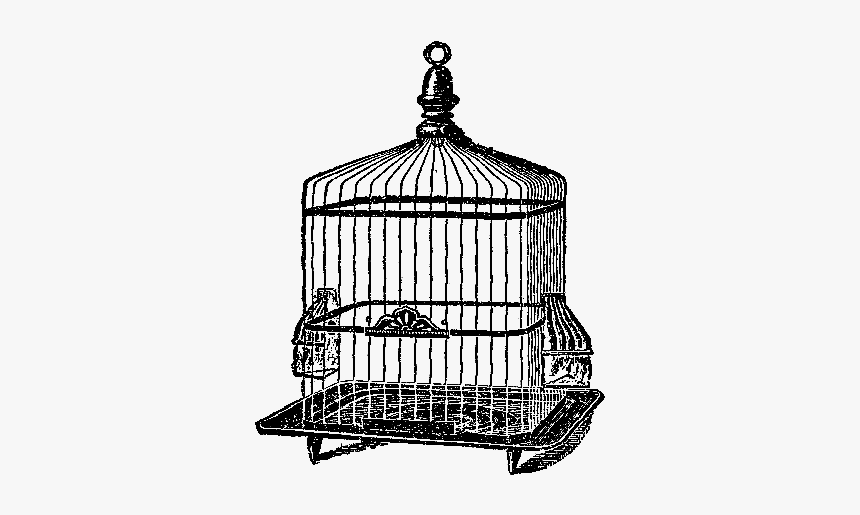 Birdcage Hd Png Download Transparent Png Image Pngitem