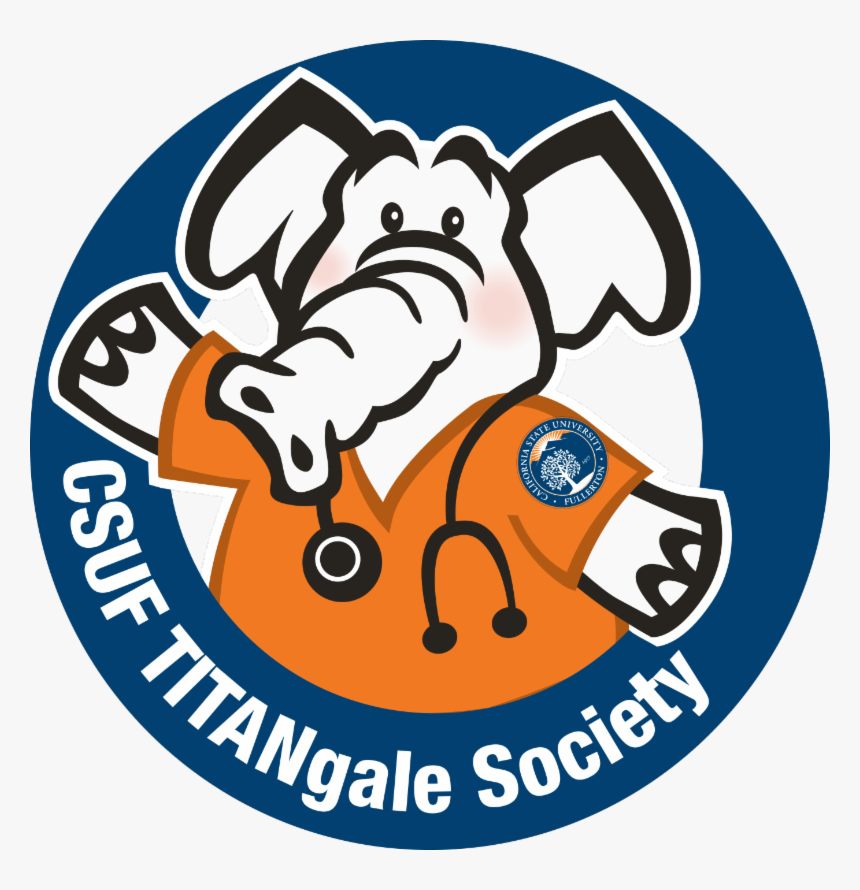 Connect With The Csuf School Of Nursing As A Student, - Cal State Fullerton Nursing Program, HD Png Download