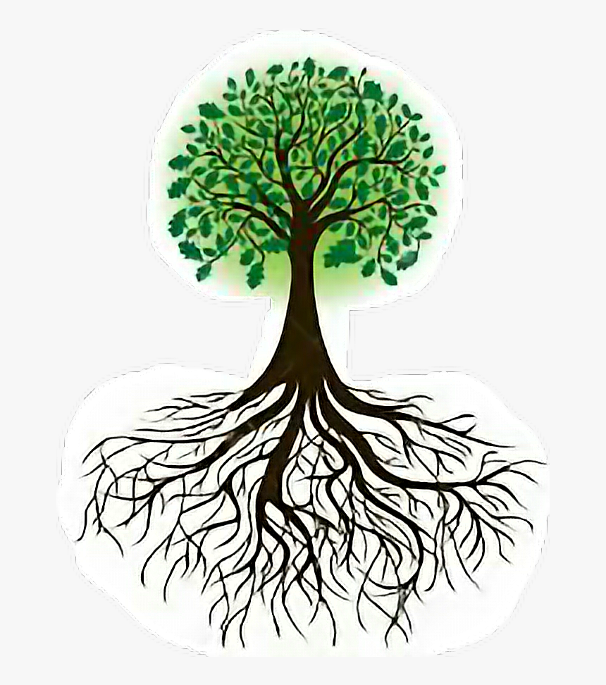 Transparent Arbol Clipart - Transparent Tree Of Life, HD Png Download