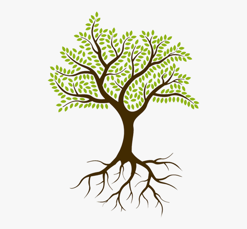 Culture Spark Was Started In 2015 By Sheryl Lyons, - Tree With Roots No Background, HD Png Download