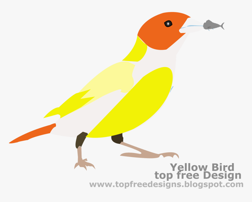 Bird Clipart - Finch, HD Png Download