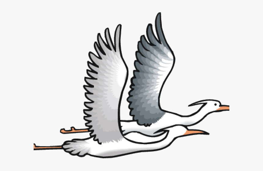 Sea Bird Clipart Transparent - Dibujos De Garzas Volando, HD Png Download