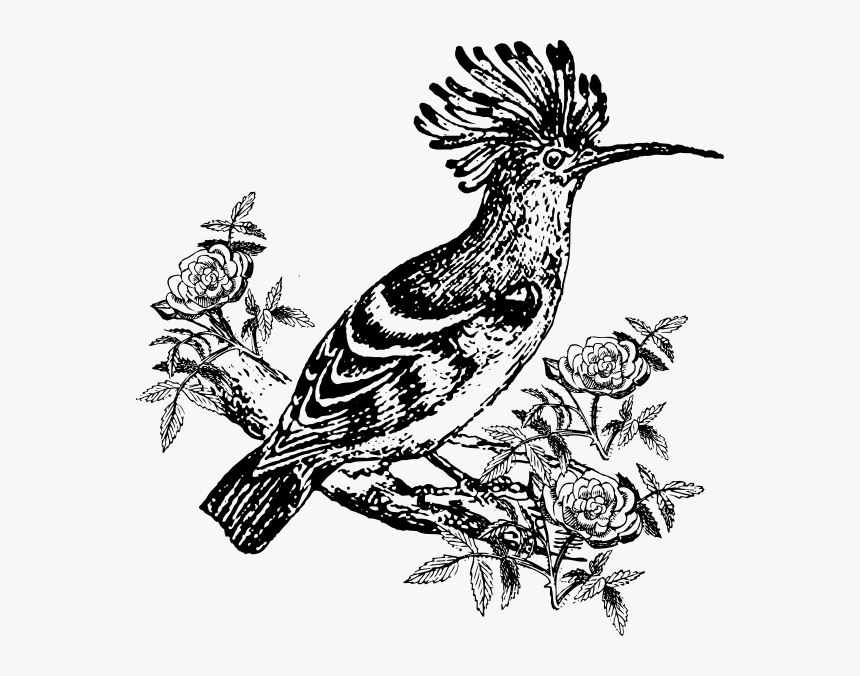 Exotic Bird Svg Clip Arts - Hud Hud Bird Clipart, HD Png Download