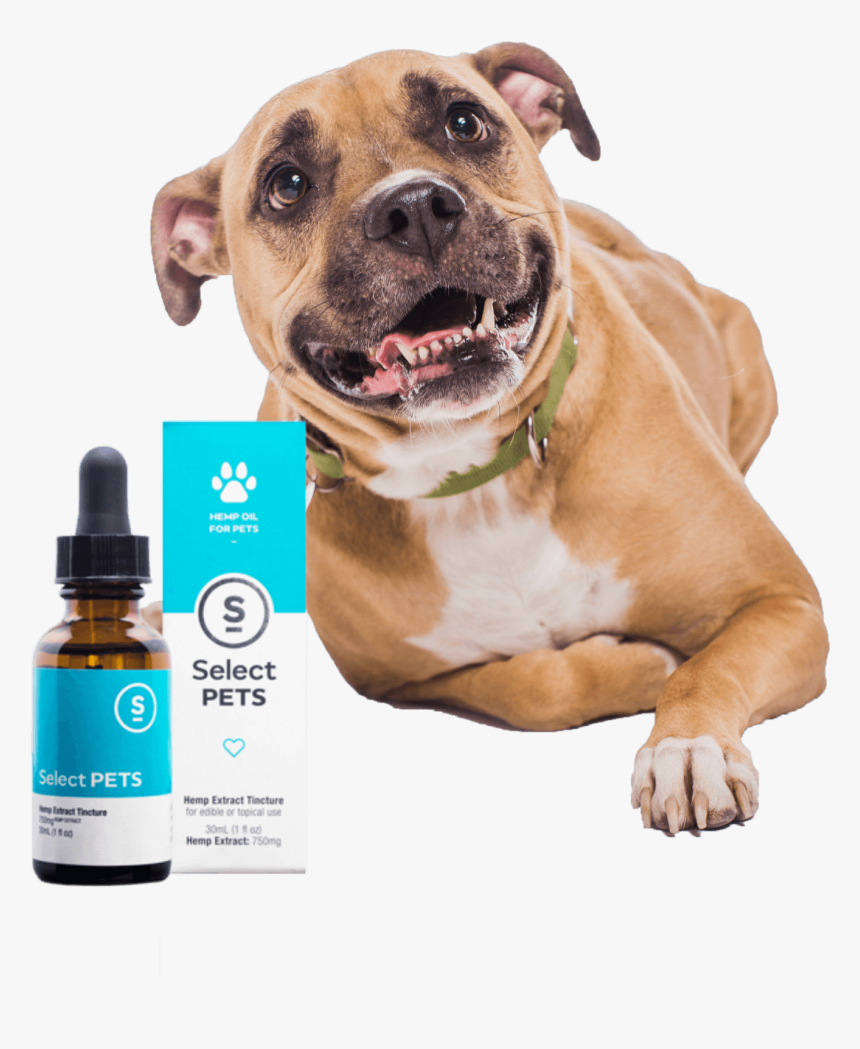 Las Vegas Pet Cbd Tinctures - Select Cbd Pets, HD Png Download