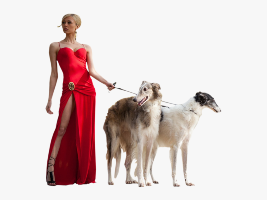Borzoi, HD Png Download
