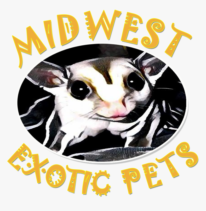 Clip Art Royalty Free Welcome To Midwest Pets - Poster, HD Png Download