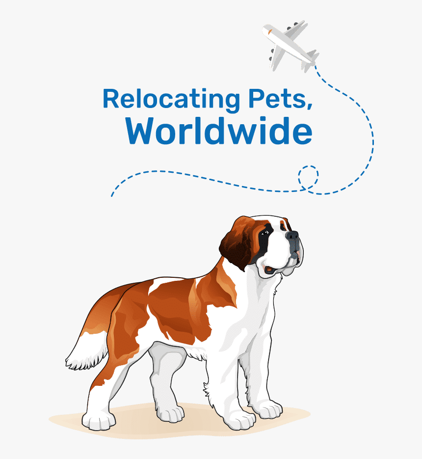 Pet Relocating Specialists - St Bernard Vector Png, Transparent Png