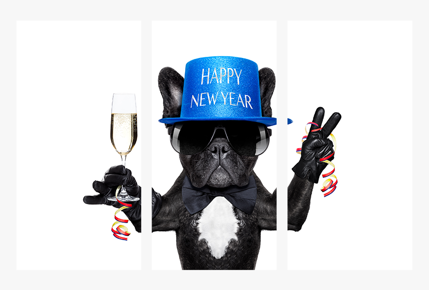 Happy New Year Dog, HD Png Download