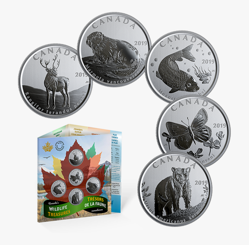 2019 Canadian 50 Cent Canada’s Wildlife Treasures 5 - Ensemble Monnaies 50 Cents Trésor De La Faune Canadienne, HD Png Download