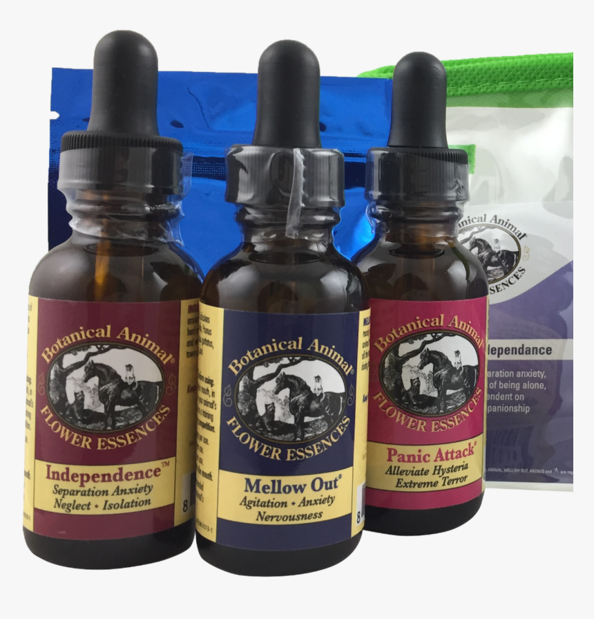 Home Alone Png, Transparent Png