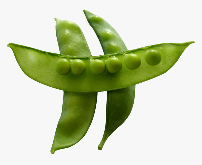 Snow Peas - Snow Peas Png, Transparent Png