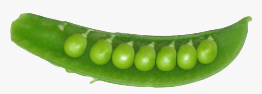 Peas In A Pod Png Image1 - Peas In A Pod Png, Transparent Png