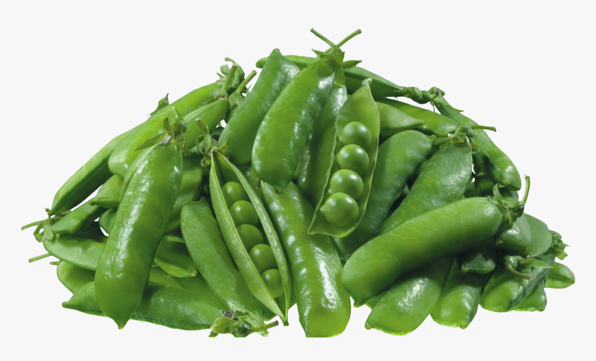 Pea Free Png - Transparent Green Peas Png, Png Download