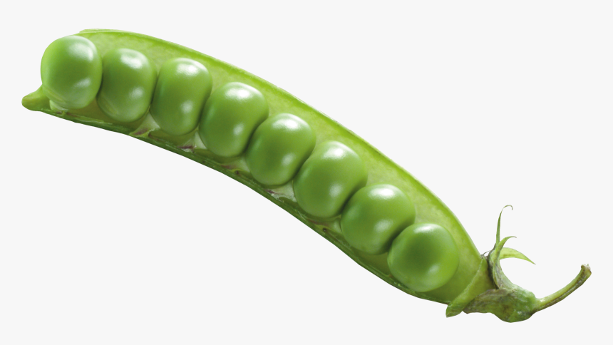 Pea Png Image, Transparent Png