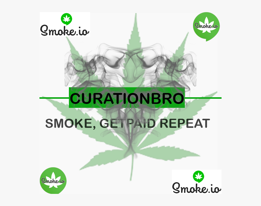 Curatio - Evergreen, HD Png Download