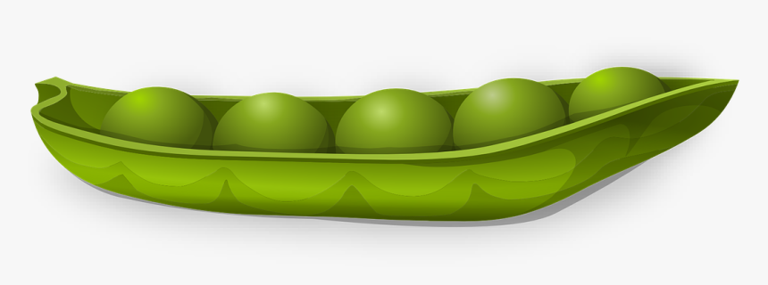 Plastic, HD Png Download