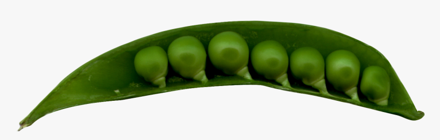 Snap Pea, HD Png Download