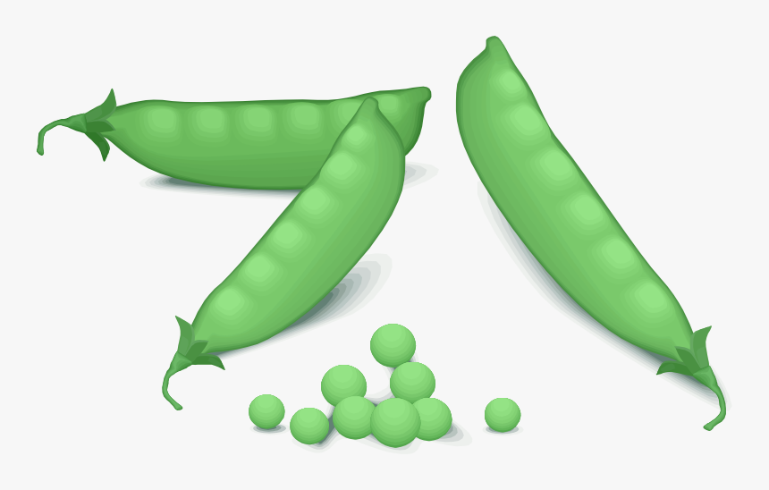 Medium Image Png - Pea Clipart, Transparent Png