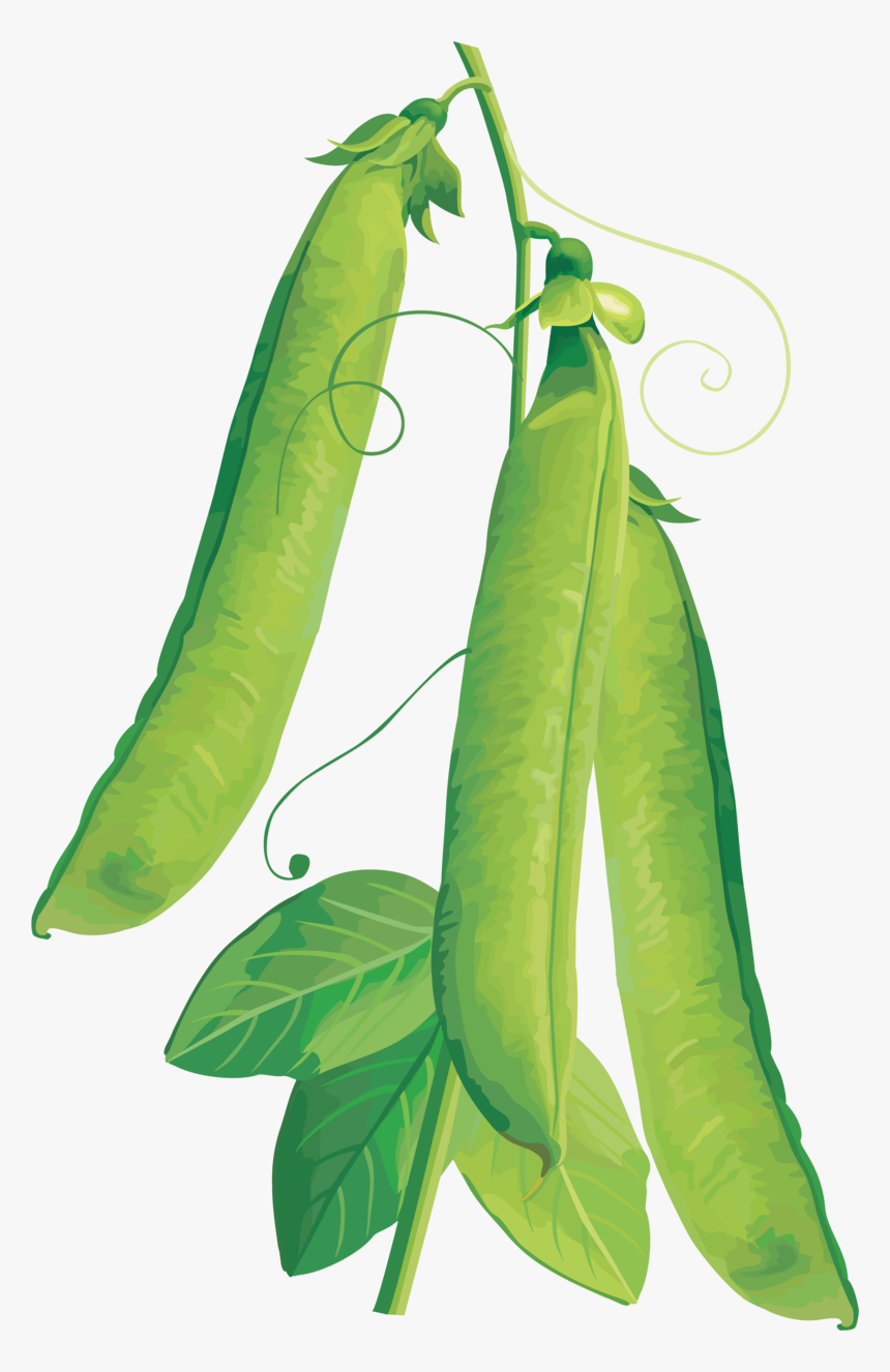 24271, HD Png Download