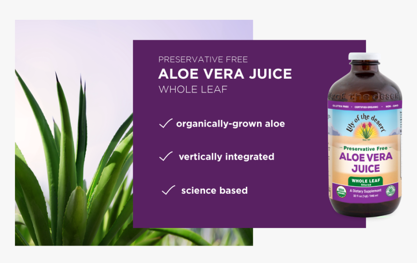 Aloe Vera Juice Whole Leaf - Aloe Vera, HD Png Download