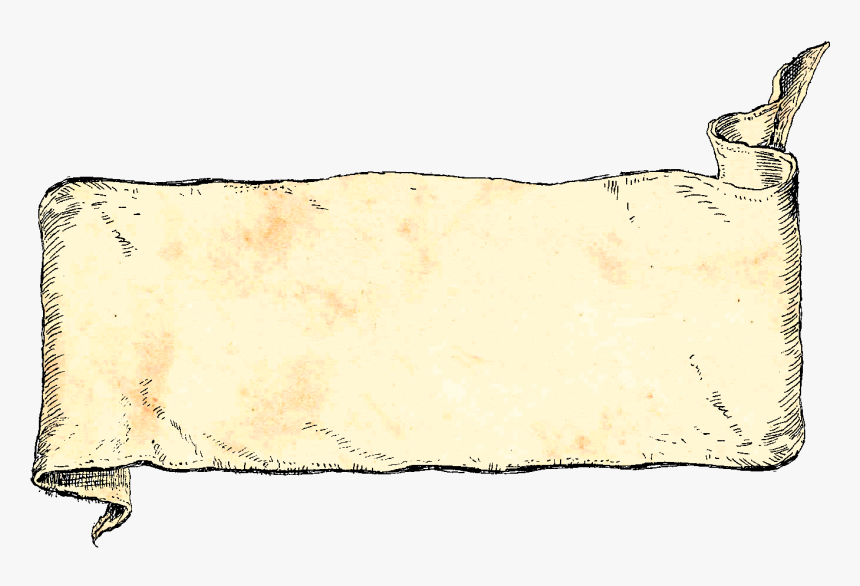 Cat, HD Png Download