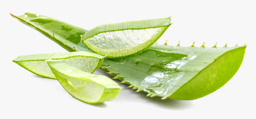 Revit Blue Jeunesse, HD Png Download