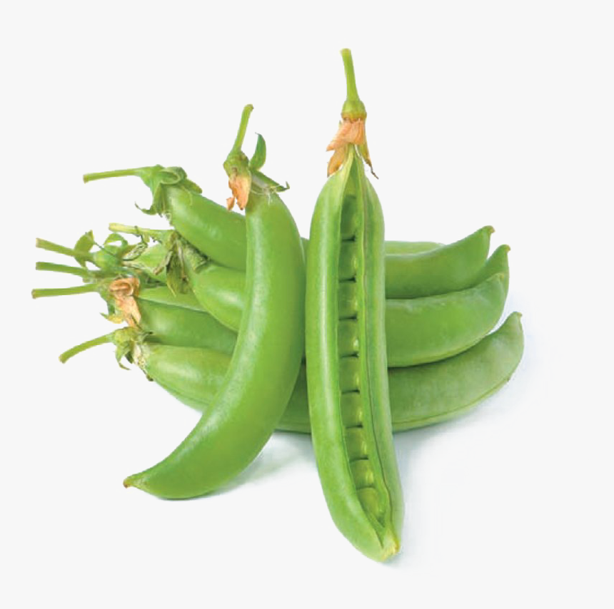 Pea Png Hd Quality - Snap Pea, Transparent Png