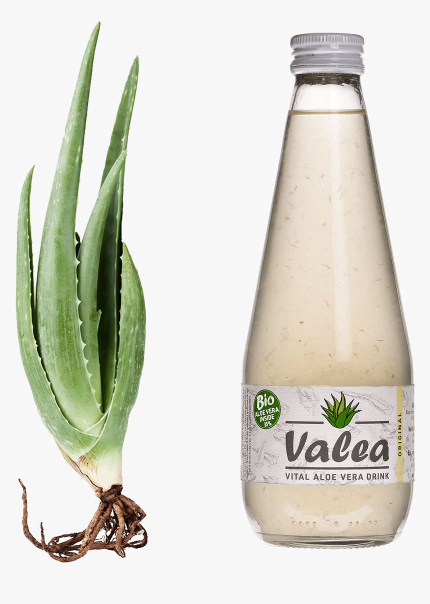 Aloe Vera Flasche 
 Style Margin - Valea Aloe Vera Drink, HD Png Download