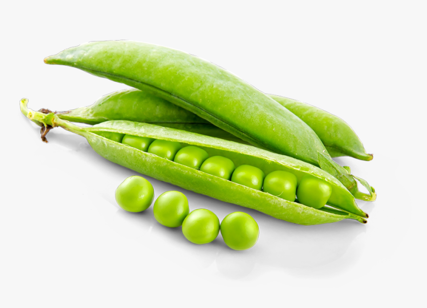Peas - Bhindi Ko English Me Kya Bolte H, HD Png Download
