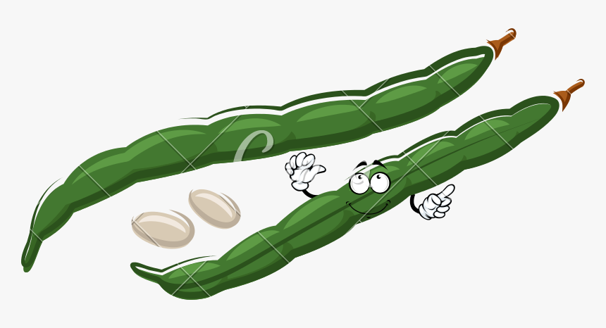 Transparent Peas Png - Feijao Verde Desenho, Png Download