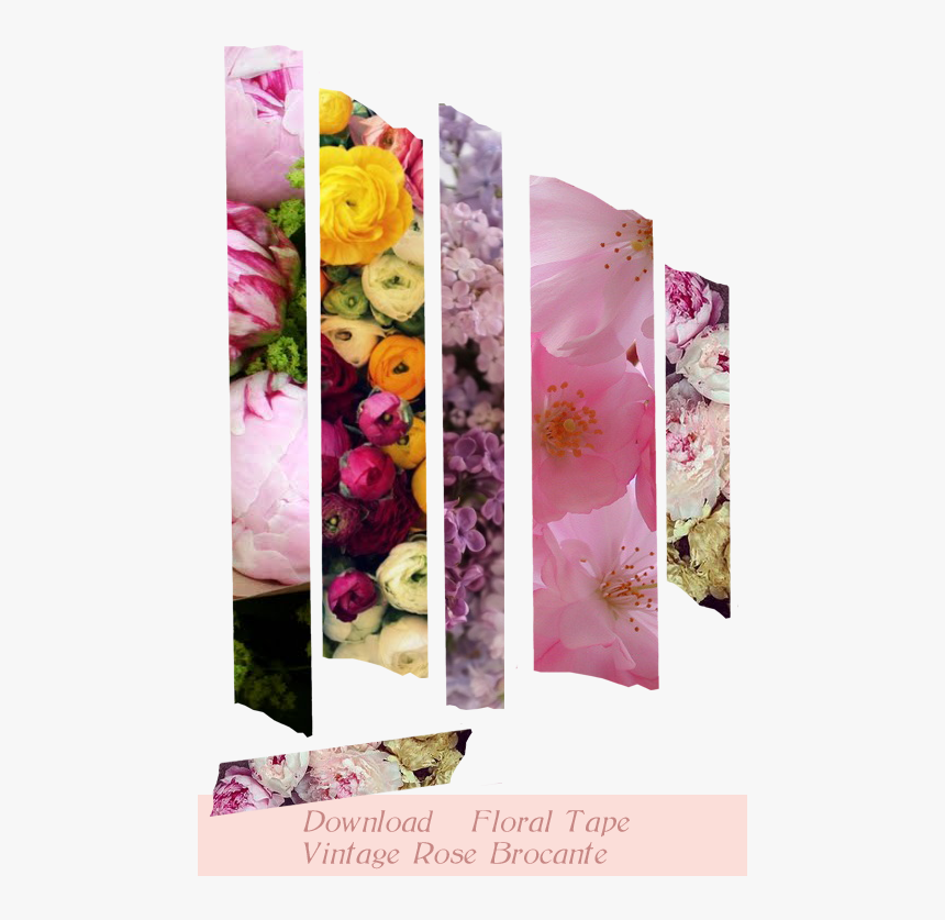Transparent Washi Tape Png - Persian Buttercup, Png Download