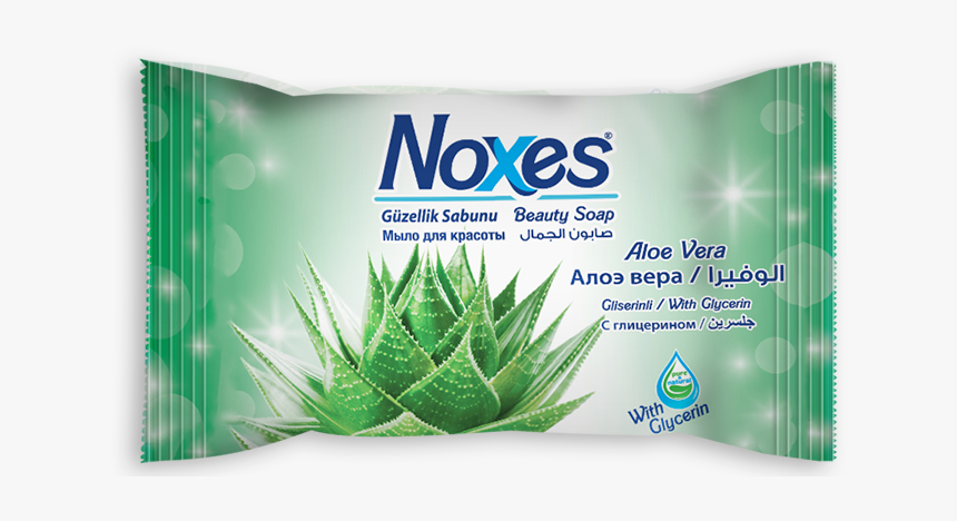 Aloe Vera Png, Transparent Png