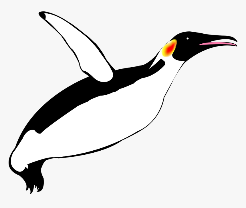 Pinguim Voador, Pinguim, Pinguins - Penguin Flying Clip Art, HD Png Download