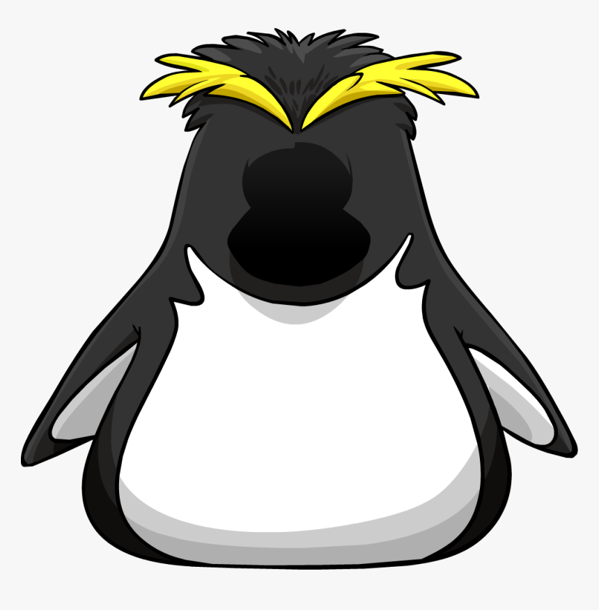 Club Penguin Wiki - Club Penguin Costumes, HD Png Download