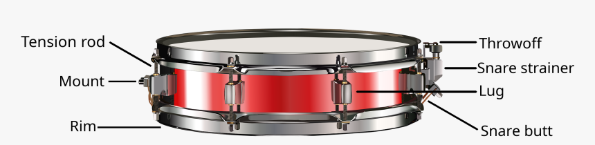 Snare Drum Diagram - Snare Drum, HD Png Download