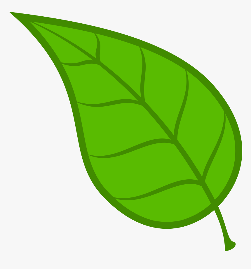 Leaf Vector - Clipart Library - Clipart Leaf, HD Png Download