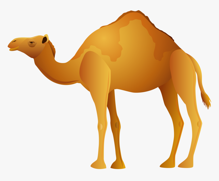 Camel Png Clip Art, Transparent Png