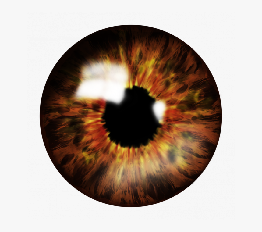 Eye Lens Png, Transparent Png