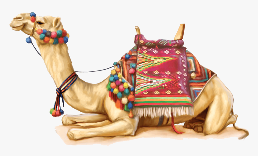 Camel Illustration - Rajasthani Camel Png, Transparent Png