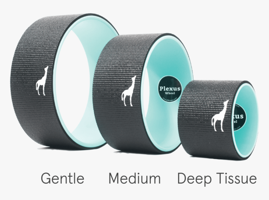 Transparent Plexus Logo Png - Yoga Wheel Sizes, Png Download