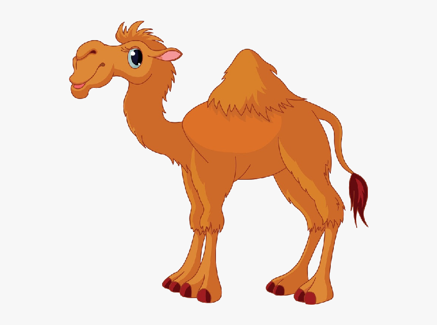 Camel Png Photo Transparent - Camel Clipart, Png Download
