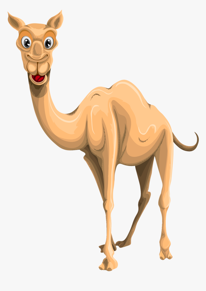 Camel Png, Transparent Png