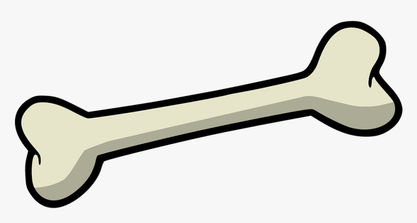 Bone, Dog, Skeleton - Bone For Dog, HD Png Download