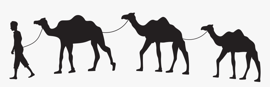Camel Caravan Clip Art Png - Camel Caravan Png, Transparent Png