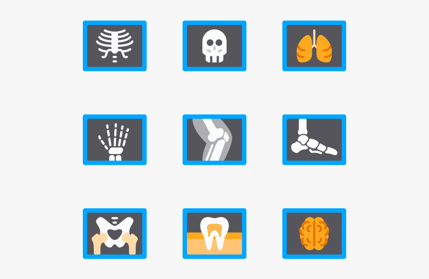 X Ray - Radiology Icons, HD Png Download