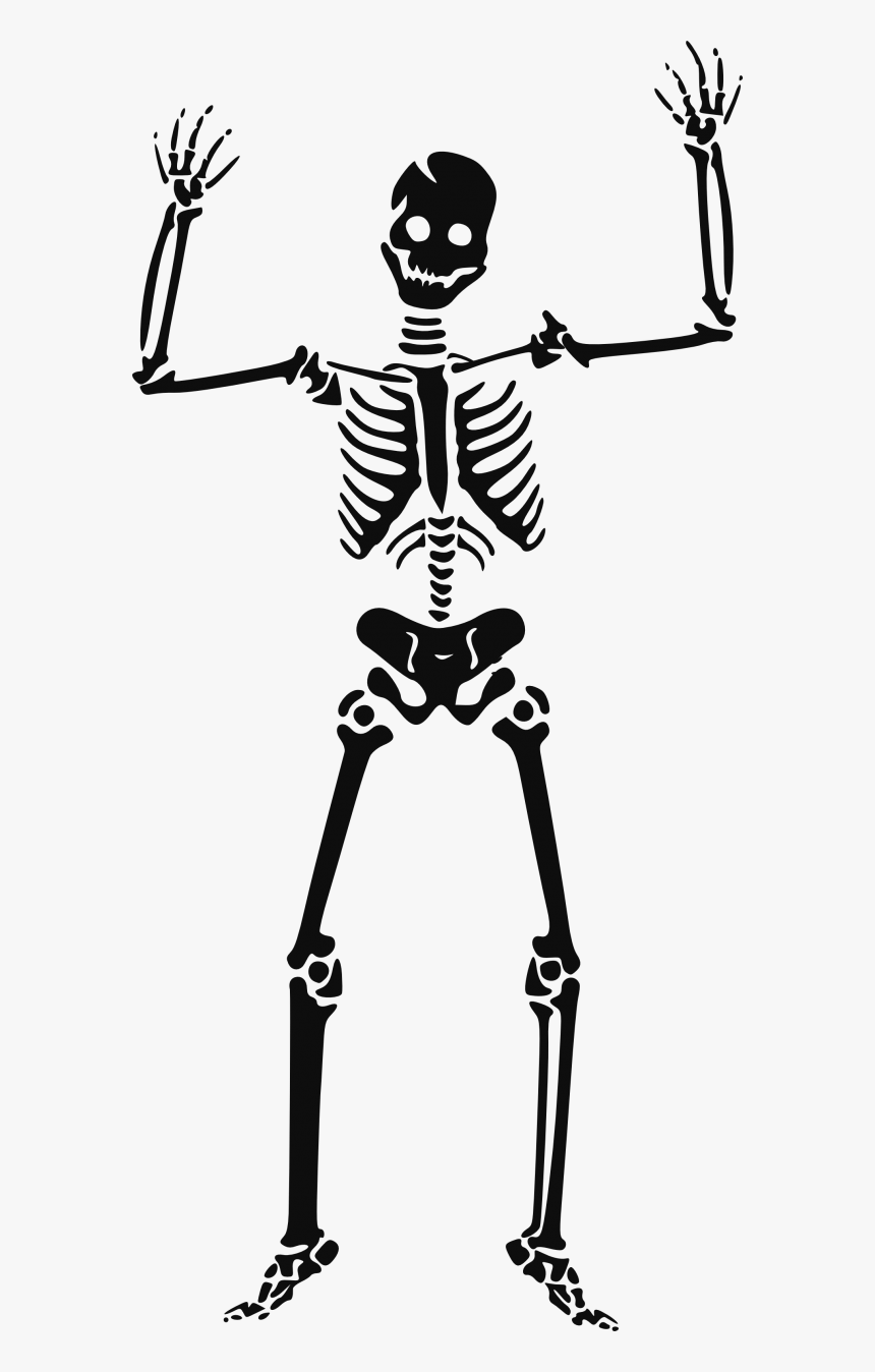Skeleton Png Free Download - Halloween Clipart Skeleton, Transparent Png