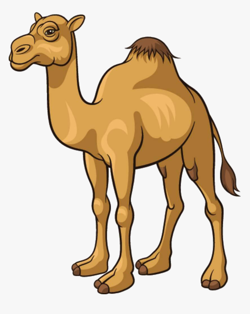 Cartoon Pictures Of A Camel, HD Png Download