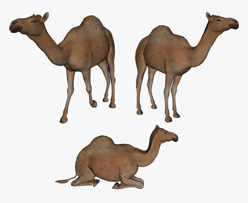 Youve Got Mail Windows, HD Png Download